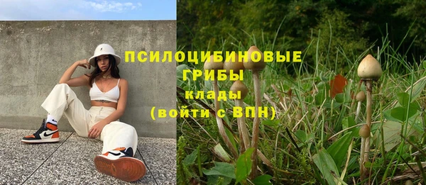 индика Армянск
