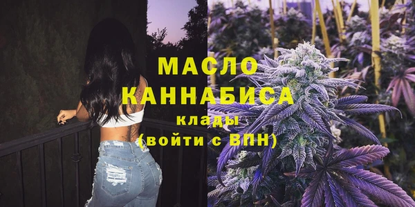 индика Армянск