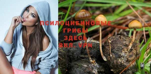 mix Арсеньев