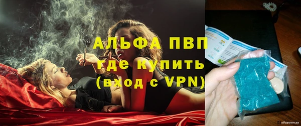 винт Сатка