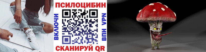 Псилоцибиновые грибы прущие грибы купить Асбест